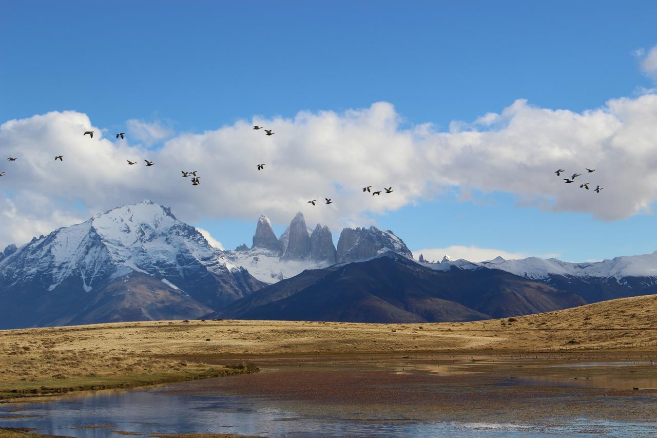 Hosteria Tercera Barranca Torres del Paine National Park Buitenkant foto
