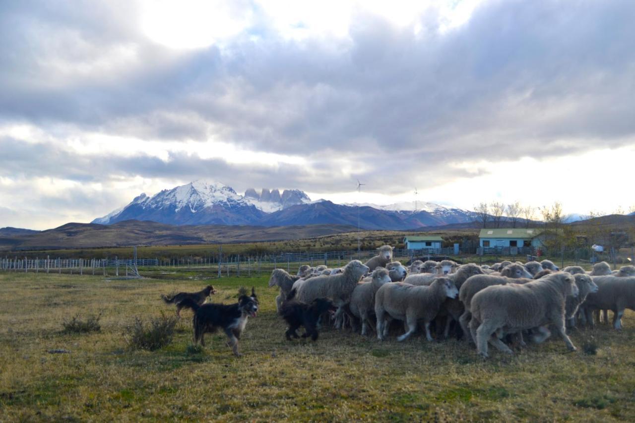 Hosteria Tercera Barranca Torres del Paine National Park Buitenkant foto