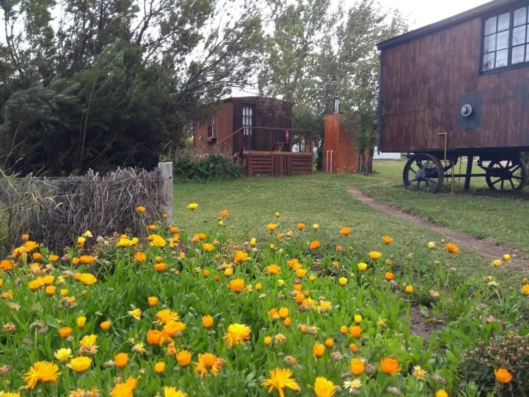 Hosteria Tercera Barranca Torres del Paine National Park Buitenkant foto
