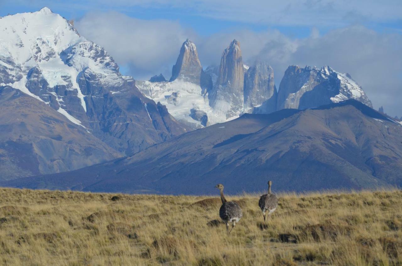 Hosteria Tercera Barranca Torres del Paine National Park Buitenkant foto